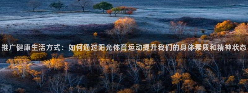 哈哈体育十年