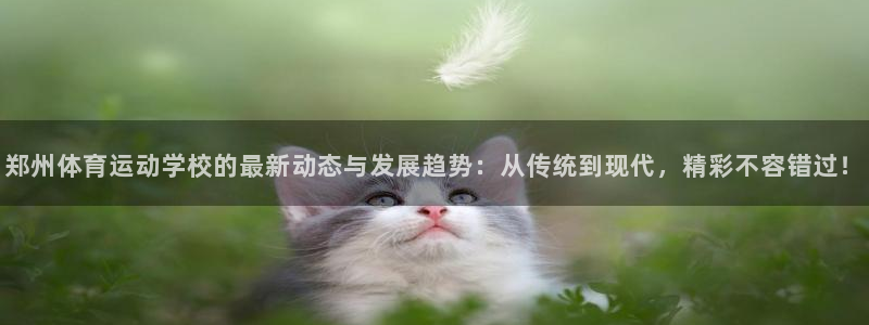 哈哈体育下载