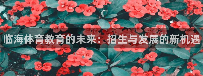 哈哈体育下载