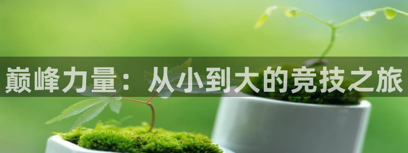 哈哈体育