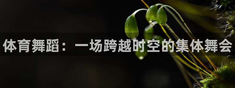 哈哈体育下载