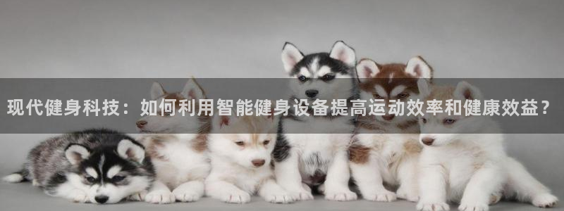 哈哈体育