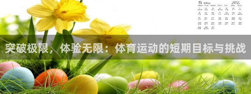 哈哈体育十年